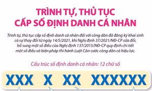 Trình tự, thủ tục cấp số định danh cá nhân