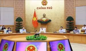 Quy chế làm việc của Chính phủ