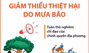 Một số biện pháp để giảm thiểu thiệt hại do gió bão và mưa lớn gây ra