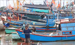 Khánh Hòa: Tàu thuyền khẩn trương vào bờ tránh trú bão số 13