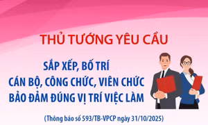 Thủ tướng yêu cầu sắp xếp, bố trí cán bộ, công chức, viên chức bảo đảm đúng vị trí việc làm