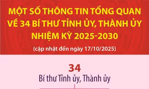 Thông tin tổng quan về 34 Bí thư tỉnh ủy, thành ủy nhiệm kỳ 2025-2030