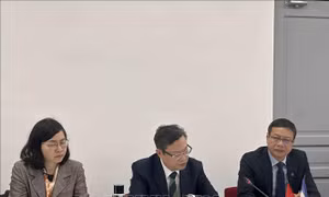Thúc đẩy hợp tác khoa học, công nghệ và năng lượng với doanh nghiệp Pháp