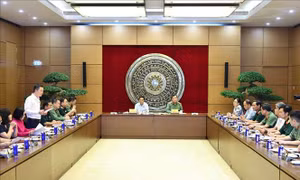  Ủy ban Quốc phòng, An ninh và Đối ngoại đóng góp quan trọng cho phát triển đất nước