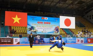 Gần 300 vận động viên tranh tài tại Giải Judo kỷ niệm 50 năm quan hệ Việt Nam-Nhật Bản