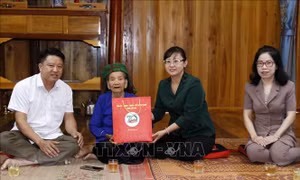 Tri ân dân công hỏa tuyến, chiến sỹ Điện Biên