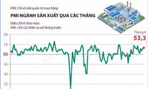 Tháng 8/2026: Chỉ số PMI đạt 53,3 điểm