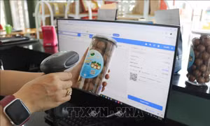 Lâm Đồng nghiên cứu nhân rộng mô hình 'Xã thương mại điện tử'