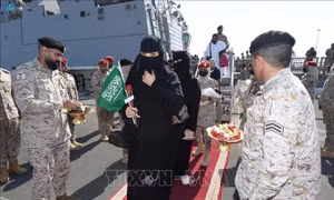 Saudi Arabia và EU thảo luận về các nỗ lực giảm leo thang tại Sudan