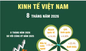 Kinh tế Việt Nam 8 tháng năm 2026