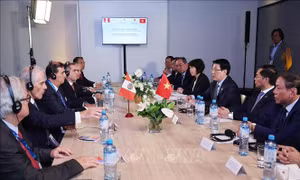 Chủ tịch nước Lương Cường tiếp lãnh đạo doanh nghiệp tiêu biểu Peru