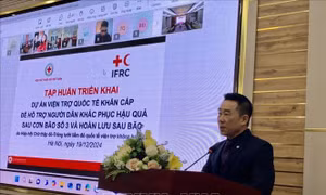 Triển khai dự án hỗ trợ 50.000 người dân vượt qua khó khăn sau bão số 3