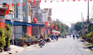 Về miền quê đáng sống