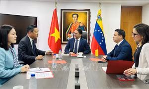 Việt Nam - Venezuela đẩy mạnh hợp tác truyền thông, củng cố quan hệ đối tác toàn diện