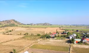 Phê bình hàng loạt đơn vị vì chậm tiến độ các dự án tái định cư vùng thiên tai