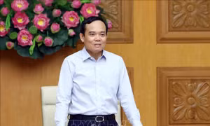 Phó Thủ tướng chủ trì họp Ban Chỉ đạo xây dựng và quản lý vị trí việc làm