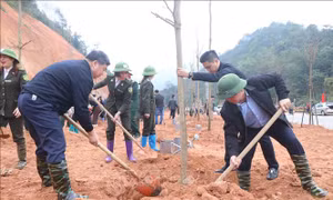 Bắc Kạn phát động 'Tết trồng cây đời đời nhớ ơn Bác Hồ' 