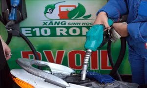 Hà Nội: Chưa phát hiện việc đầu cơ, trục lợi sau điều chỉnh giá xăng dầu