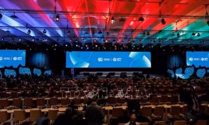 COP29 đạt bước đột phá đầu tiên về thị trường carbon