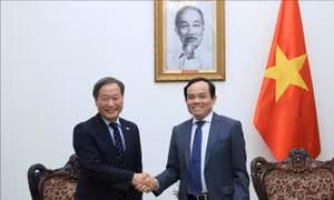 Phó Thủ tướng Trần Lưu Quang tiếp Phó Chủ tịch điều hành cấp cao JICA