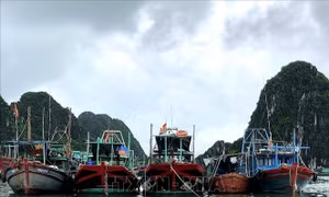 Quảng Ninh cấm biển, ngừng cấp phép tàu ra khơi từ 13h ngày 18/8