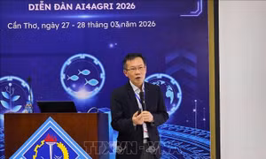 Định hướng phát triển và thúc đẩy hệ sinh thái AI tại Việt Nam