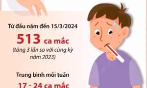 Hà Nội: Số ca mắc sốt xuất huyết tăng gấp 3 lần