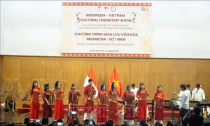 Giao lưu văn nghệ thắt chặt quan hệ nhân dân Thành phố Hồ Chí Minh và Indonesia