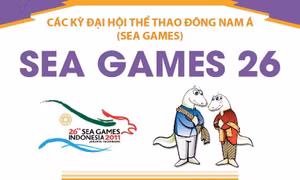 Thông tin về Đại hội thể thao Đông Nam Á lần thứ 26 (SEA Games 26)