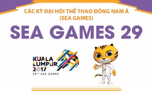 Thông tin về Đại hội thể thao Đông Nam Á lần thứ 29 (SEA Games 29)
