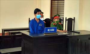 Lĩnh 12 tháng tù giam vì chống người thi hành công vụ phòng, chống dịch