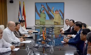 Tỉnh Lâm Đồng thúc đẩy hợp tác với Cuba
