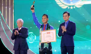 Khi người trẻ 'bén duyên' với cây lúa