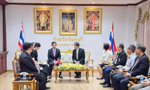 Việt Nam và Thái Lan mong muốn đẩy mạnh hợp tác địa phương