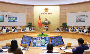 Nghị quyết Phiên họp Chính phủ thường kỳ tháng 2 năm 2025