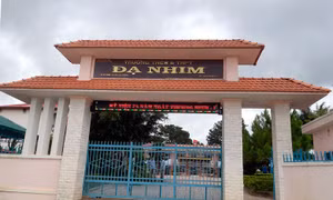 Điểm thi tốt nghiệp THPT đặc biệt ở 'vùng xanh' Lâm Đồng