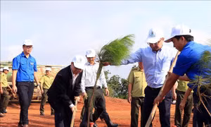 Tích cực trồng rừng, xây dựng tỉnh Đắk Nông phát triển toàn diện, bền vững