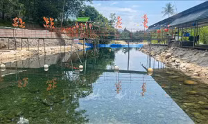 Hệ lụy nhãn tiền khi 'bức tử' dòng suối - Bài 1: Dòng suối bị 'chặt khúc' để làm du lịch