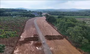 Sớm di dời trụ điện nằm giữa đường sau phản ánh của người dân