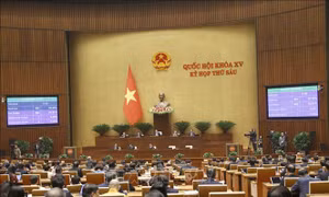 Xây dựng, ban hành tiêu chí nông thôn mới phù hợp với vùng đồng bào dân tộc thiểu số và miền núi