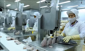 Thời cơ cho thủy sản tăng trưởng xuất khẩu dịp cuối năm