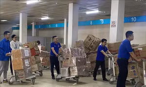Cảng hàng không Quốc tế Cát Bi vận chuyển '0 đồng' hàng cứu trợ tới vùng lũ