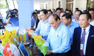 Thủ tướng: 'Chúng ta cần một lớp nông dân đổi mới'