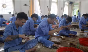 Chính sách vay vốn đối với người sau cai nghiện ma túy