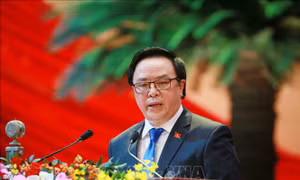 Phát huy vai trò đối ngoại Đảng, đối ngoại Nhân dân trong bối cảnh mới