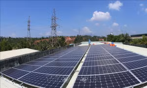 Ký kết thỏa ước tín dụng cho dự án điện mặt trời Sê San 4