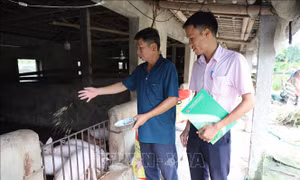 'Điểm tựa' giúp người chấp hành xong án phạt tù sớm hòa nhập cộng đồng
