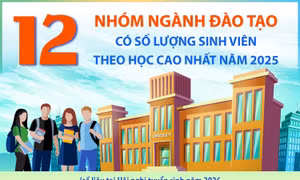 12 nhóm ngành đào tạo có số lượng sinh viên theo học cao nhất năm 2025
