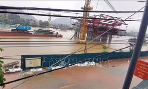 Lũ sông Đáy vượt báo động 3, Hà Nam di dời hơn 1.300 hộ dân