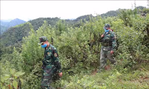 Điện Biên tăng cường chốt kiểm soát phòng, chống dịch COVID-19